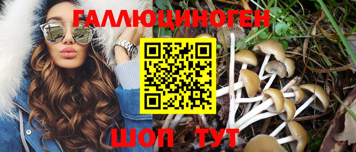 Псилоцибиновые грибы ЛСД Новоалтайск