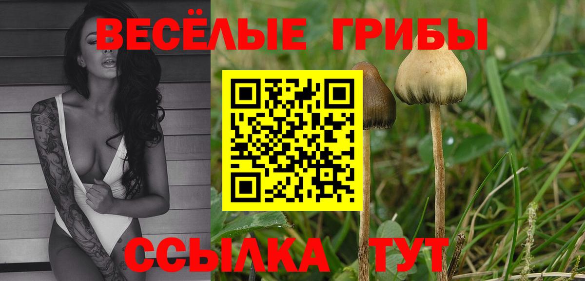 Экстази  ГАШИШ  Новоалтайск  Вход с VPN  Каннабис  Меф   МАРИХУАНА 