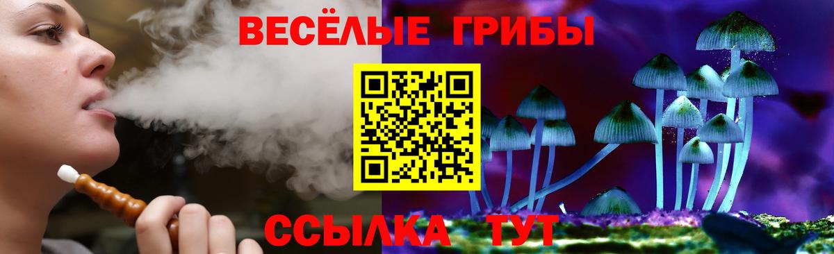 Новоалтайск  Псилоцибиновые грибы Cubensis  Галлюциногенные грибы Magic Shrooms  Вход с VPN 